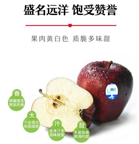 长春生鲜冷链配送,长春蔬果生鲜配送新鲜直达