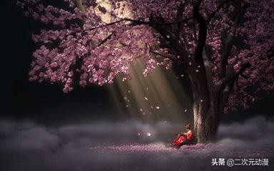 国内有哪些主要的动漫制作公司,国内最强动漫制作公司