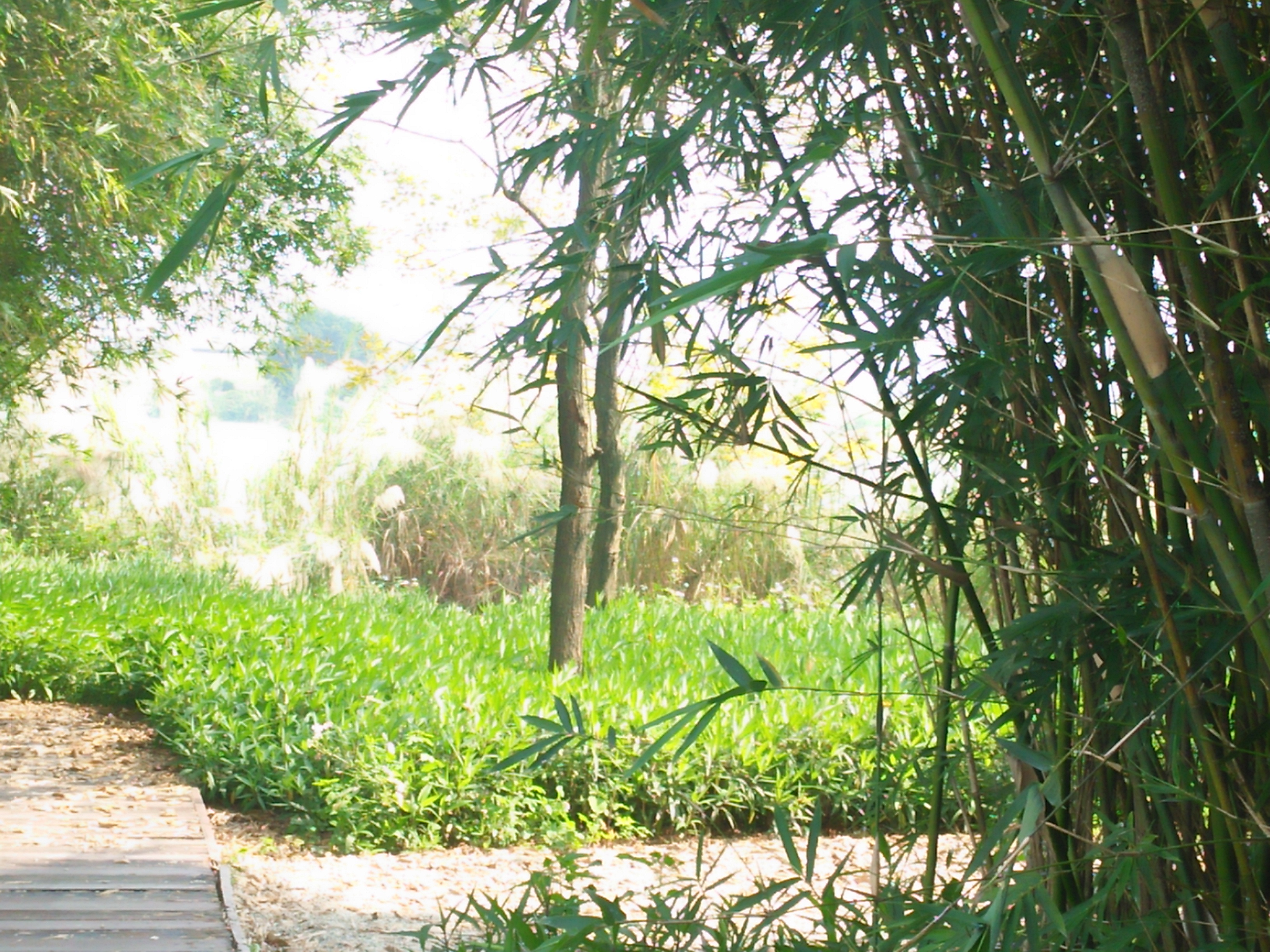 立春散文随笔,立春午后游记