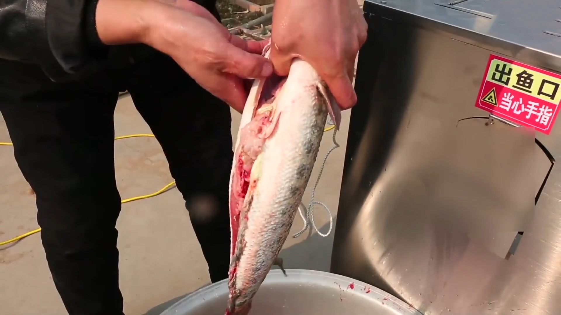 小伙子发明的杀鱼神器,自动杀鱼机制作全过程