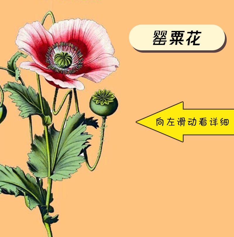 特殊时期的火锅,特殊时期可以吃什么外卖