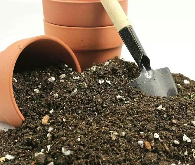 营养土包邮养花种植土,怎么做养花的生根土和营养土