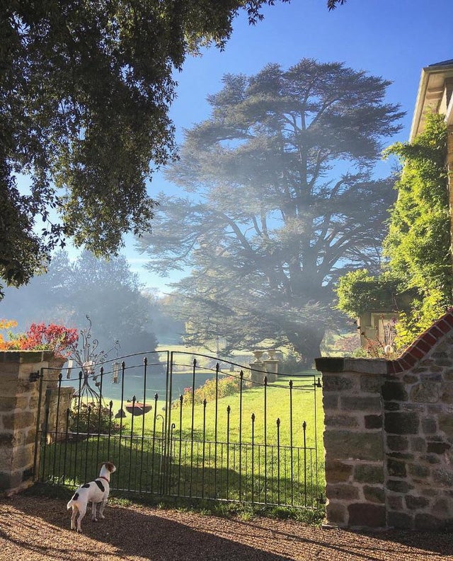 30张活久见的对比照,鳄鱼被电鳗电死的视频