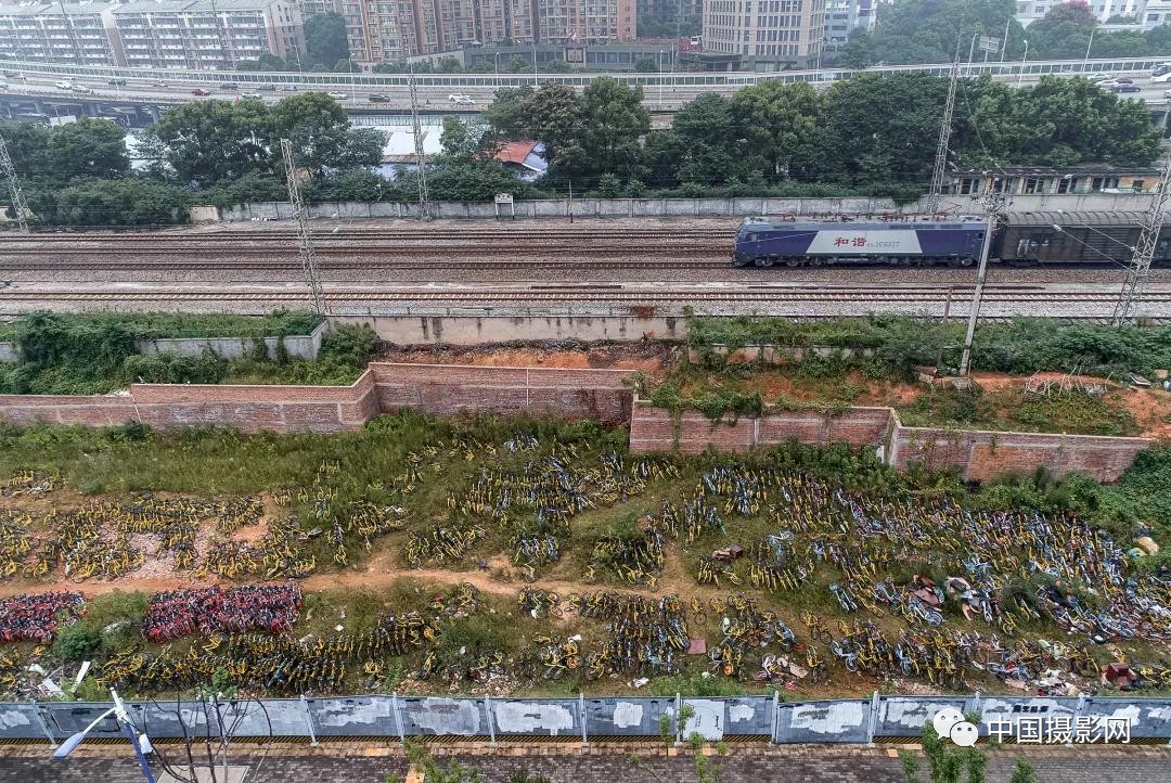 第七届全国摄影十杰获奖者,中国摄影年度人物排名