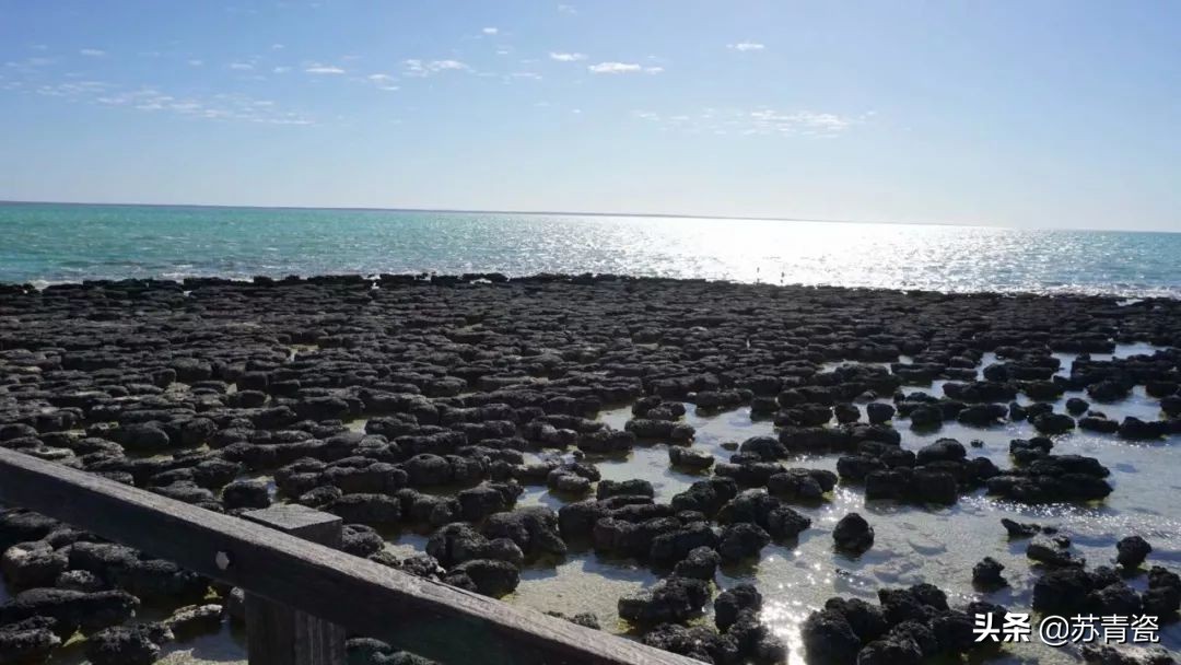 只知道大堡礁？澳大利亚还有这个冷门景点，美得不像地球