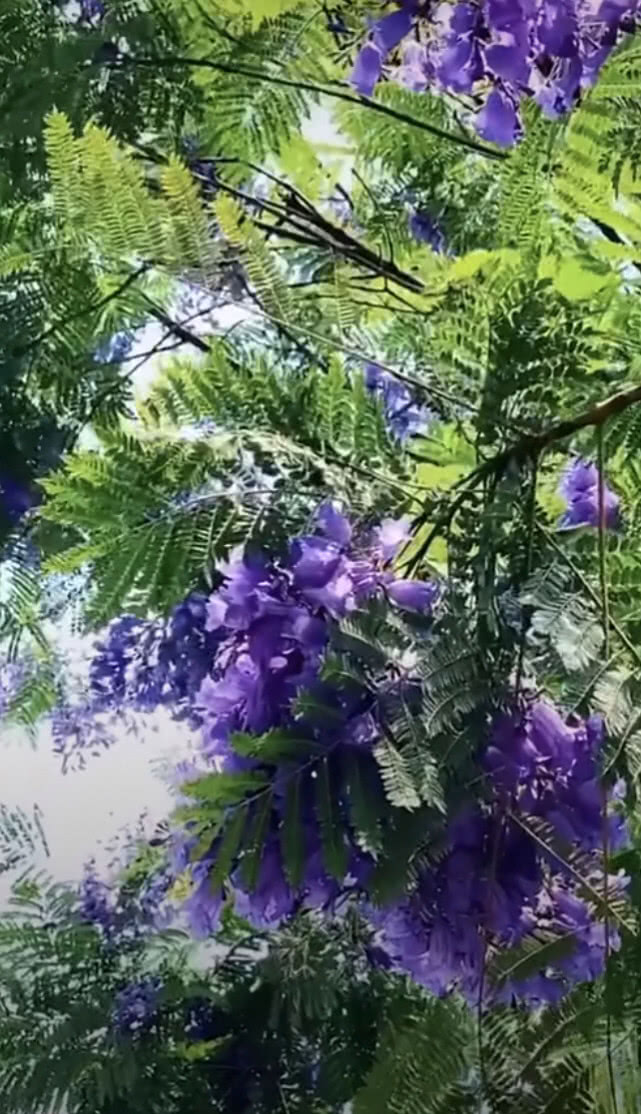 和婆婆吵架公公打电话到我娘家,儿媳妇和公公吵架怎么办