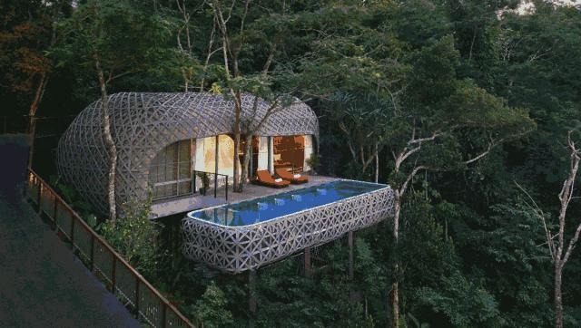 真正的森林树屋,这些树屋满足你对森林的所有幻想
