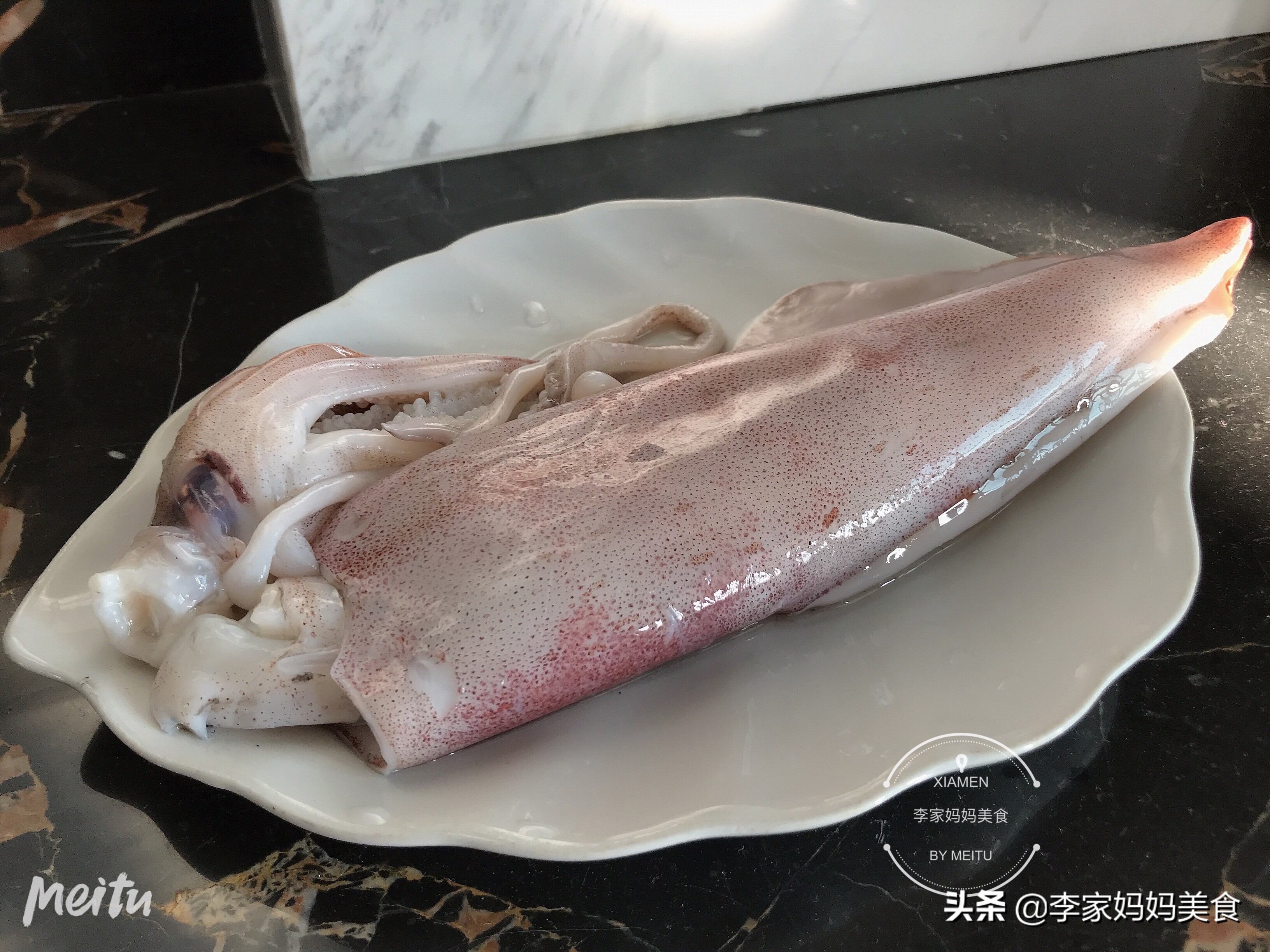 墨鱼乌贼章鱼鱿鱼到底有什么区别,一张图鱿鱼章鱼八爪鱼墨鱼的区别