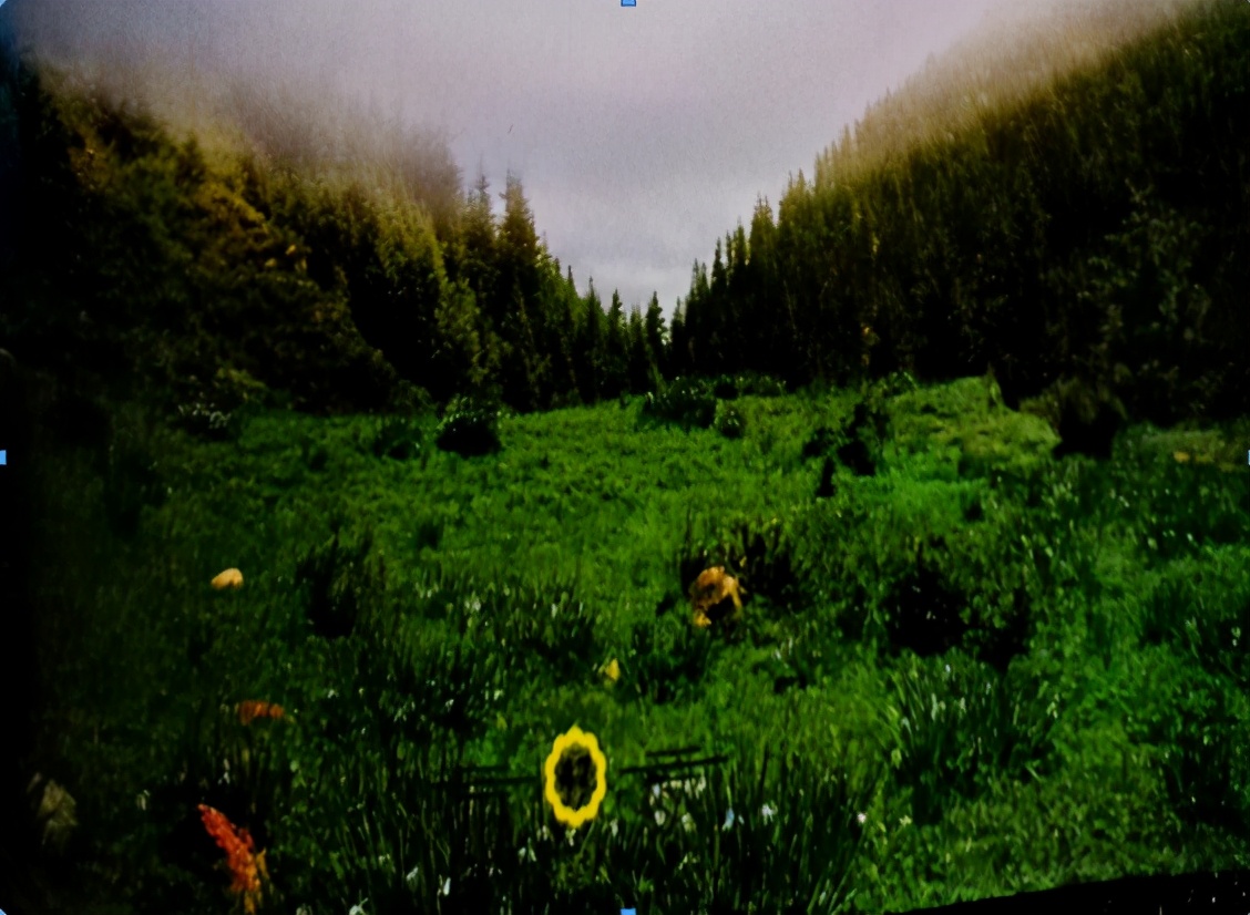 山丹军马场世界第一大军马场,亚洲第一马场山丹军马场直播