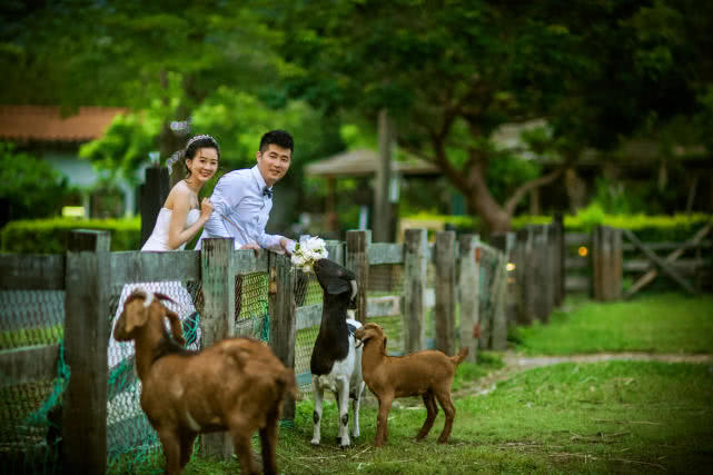 他们摄影,摄影师拍婚纱照油画