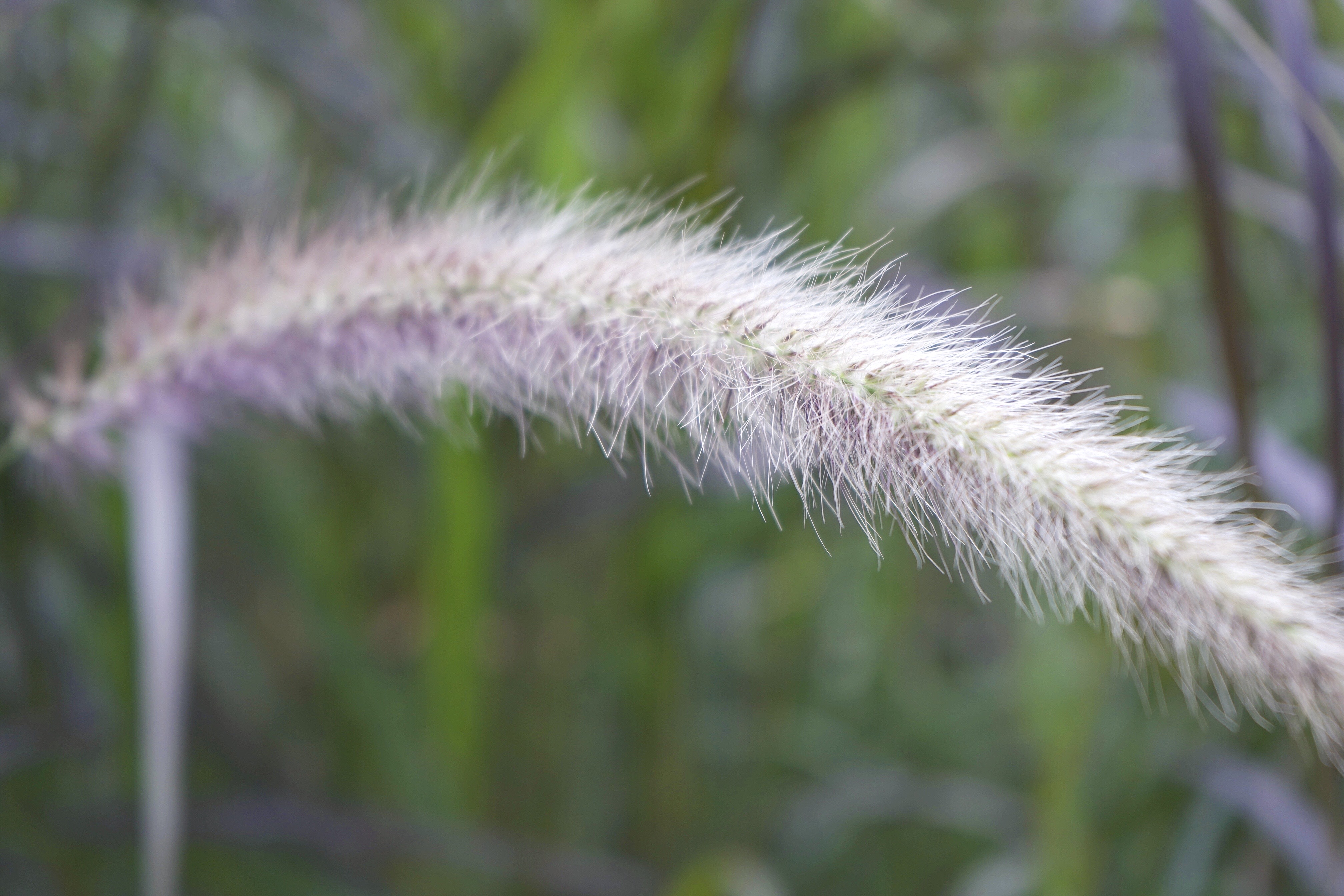 带你认识各种镜头,光圈跟景深通光量的关系