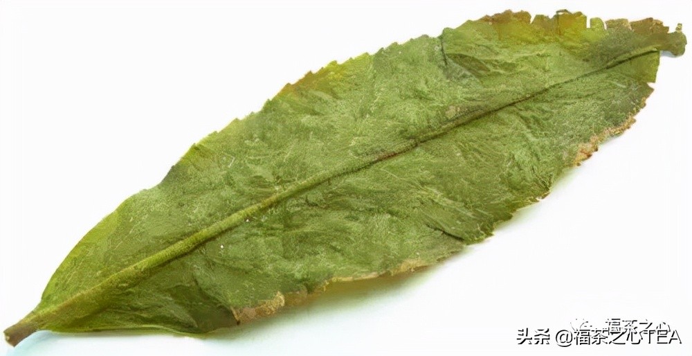 福建最好的茶叶有哪些,福建有哪些茶叶比较好