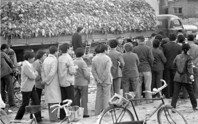 采访72岁年轻人,8090后的真实童年生活