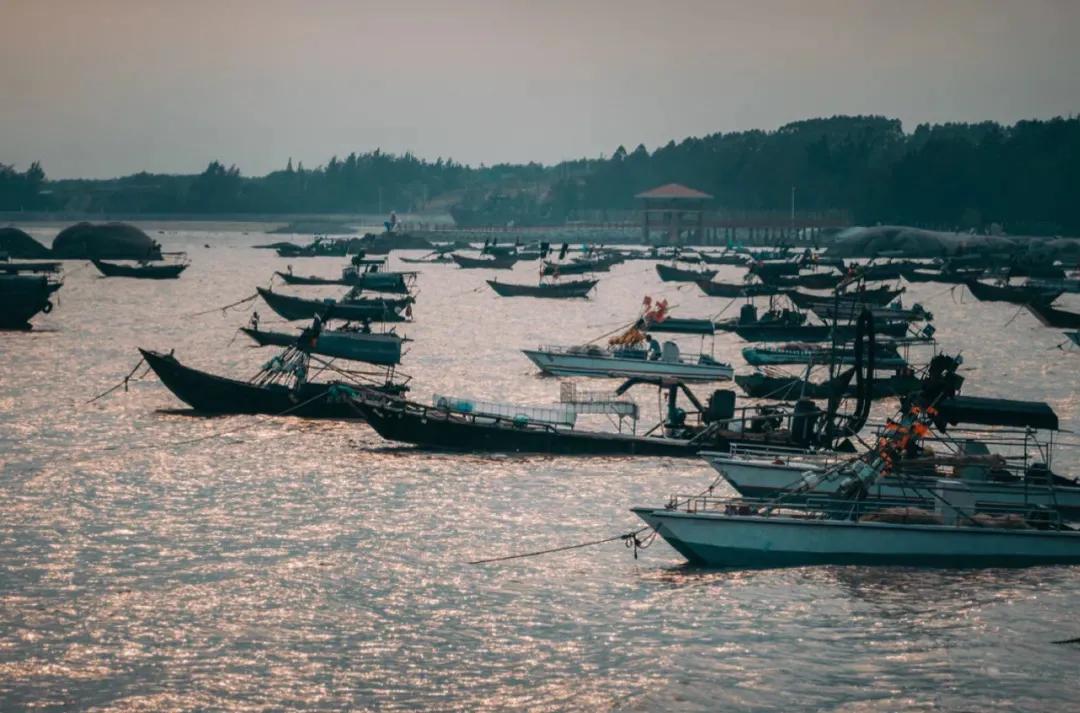 这次，我要好好夸一夸广西钦州，这座低调的海滨小城