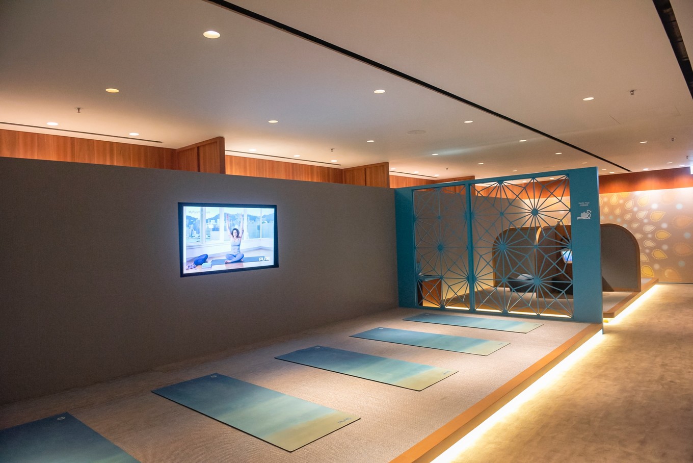 南非自驾游,南非自驾游最新