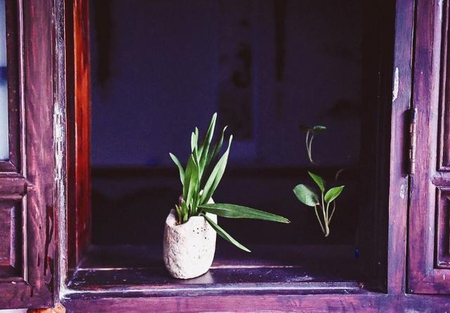 人到50岁了，要面对现实