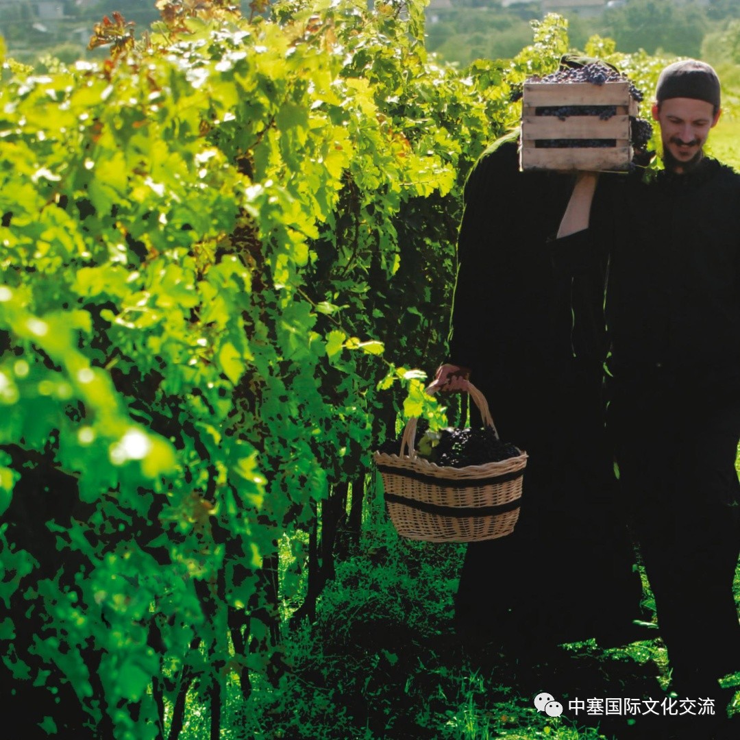 连巨星政要都亲睐的修道院葡萄酒庄你还不赶紧的｜尽在波黑福尔多