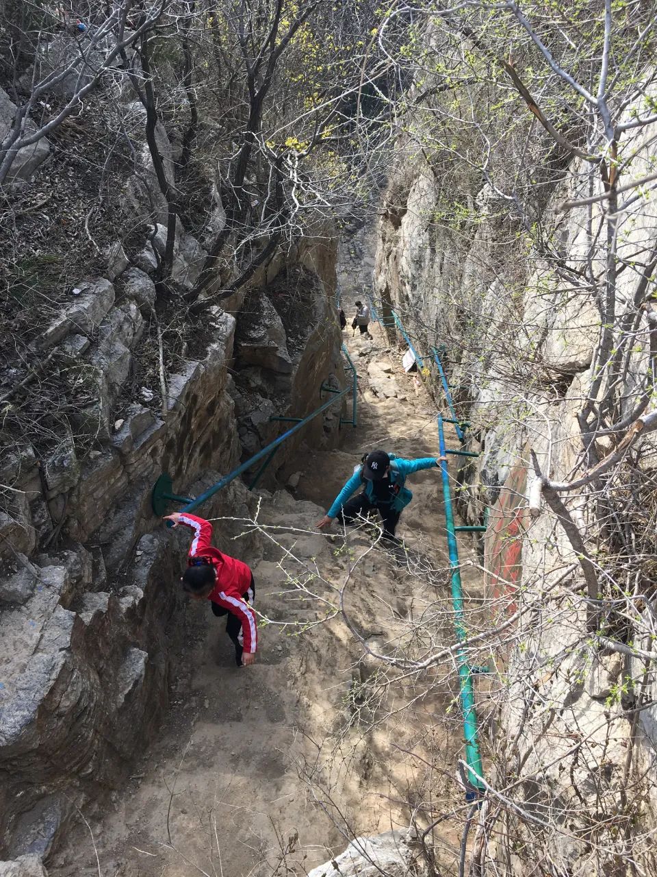 济南适合带孩子去的地方春天,周末遛娃的好去处好玩又免费济南