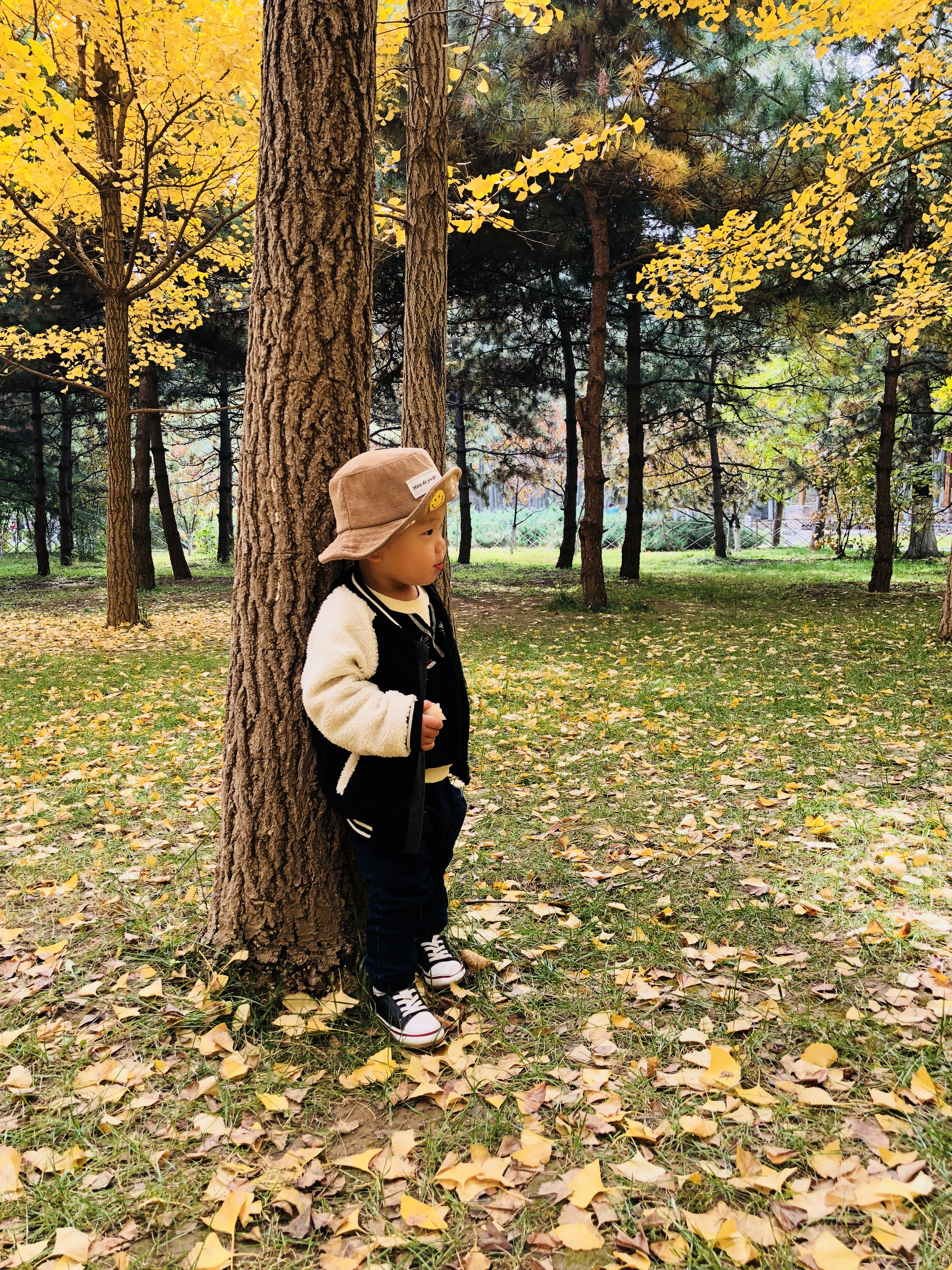 乳腺炎的教训,说说我的乳腺炎经历