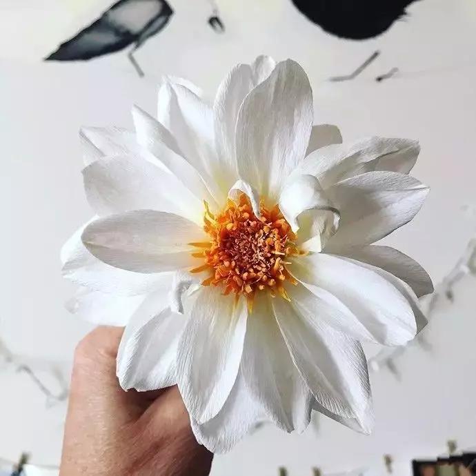 纸折立体水仙花,怎么用纸折出水仙花简单版