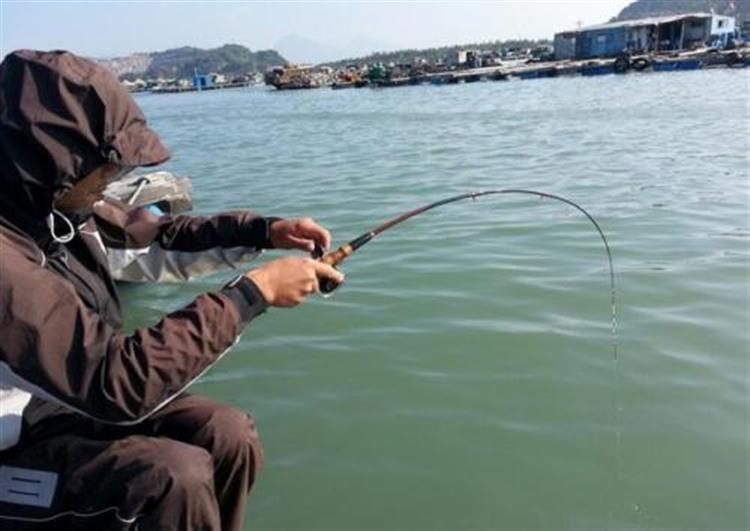 什么饲料诱鱼效果特别好,诱鱼效果最好的料