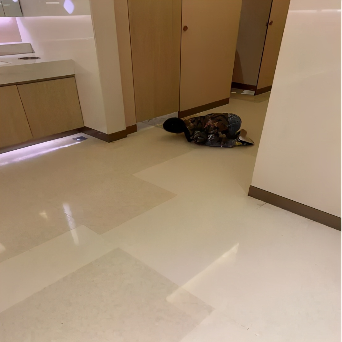“好死不死女厕有个小女孩”：女性厕所里藏着的秘密，你想象不到