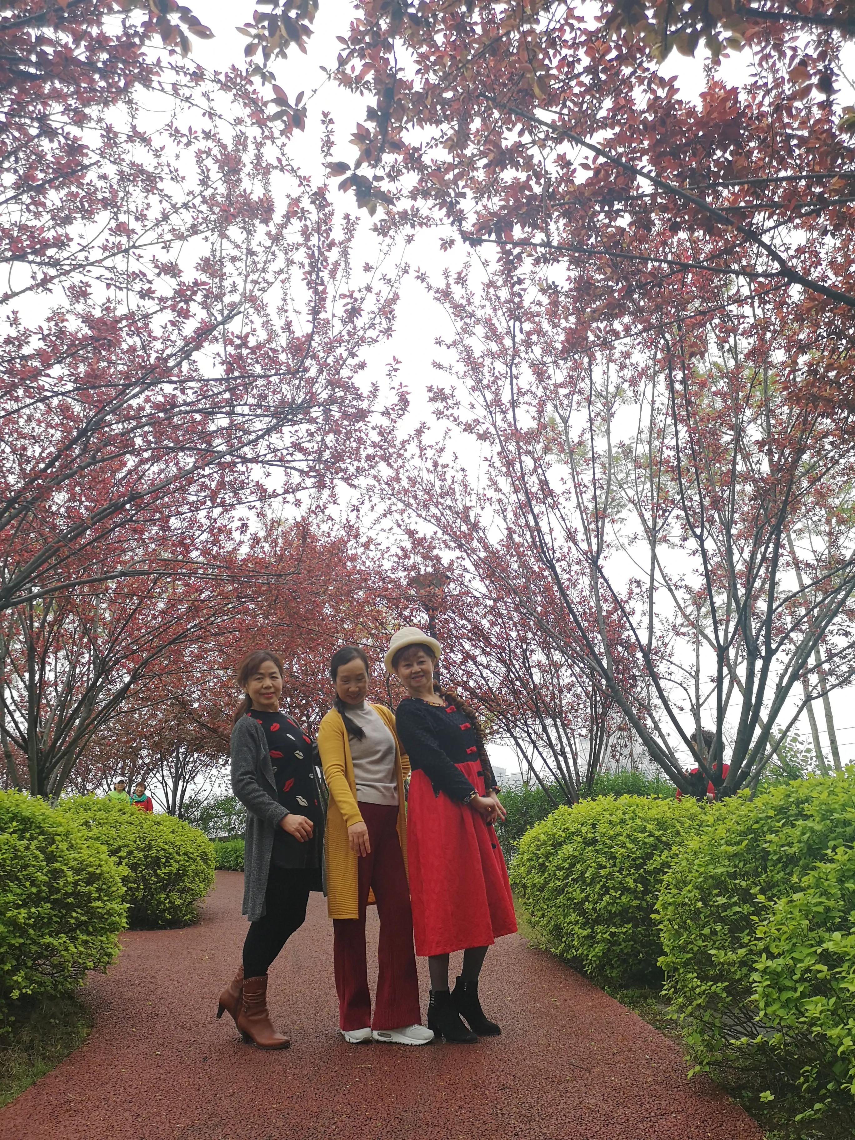 春游和姐妹踏青,春游踏青姐妹拍照