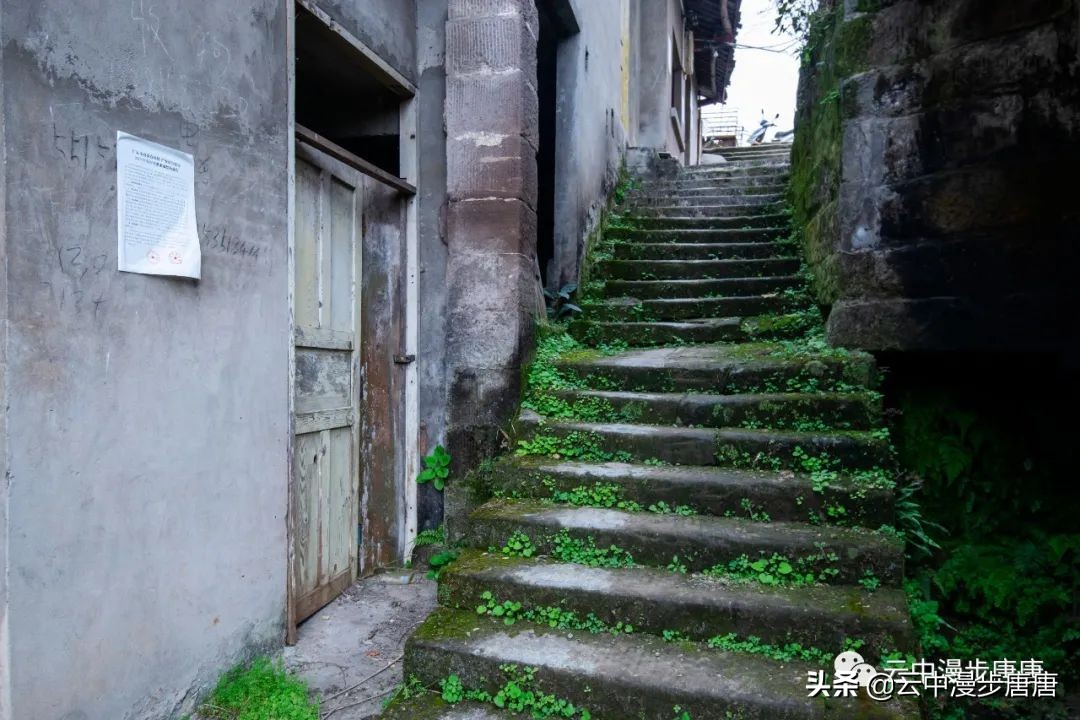 行走的风景岳池,行走的“风景”