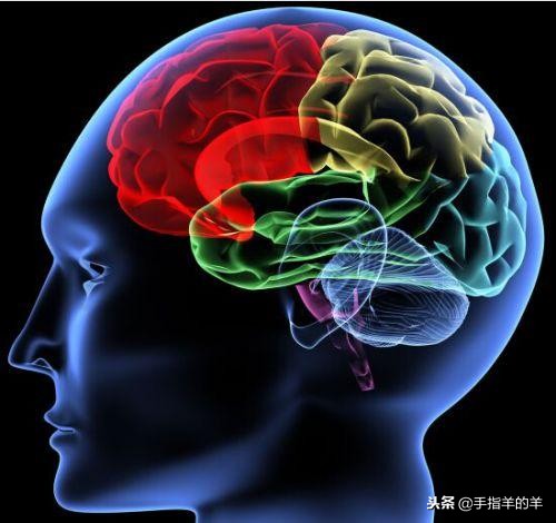 治遗尿食谱,小儿遗尿中药配方