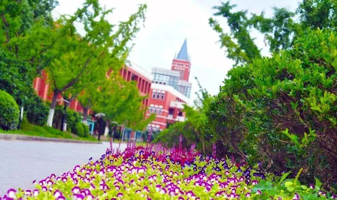 上海即将改名的5所大学,上海市正在崛起的十所学校