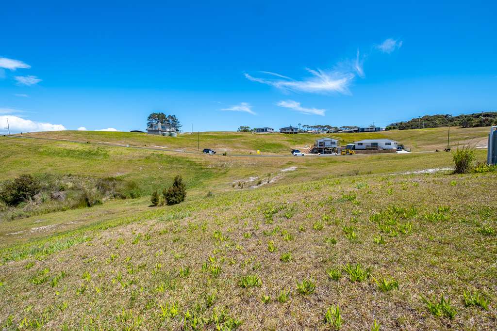 100万人民币在新西兰,100万在新西兰能买到什么车