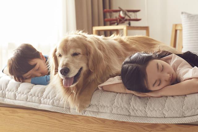 孩子夜间磨牙是怎么回事,孩子夜里磨牙吱吱响是怎么了