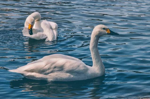 中国*产党共**创办的第一所高等学府，以城市名字命名，孙中山、毛*东泽**直接关怀！