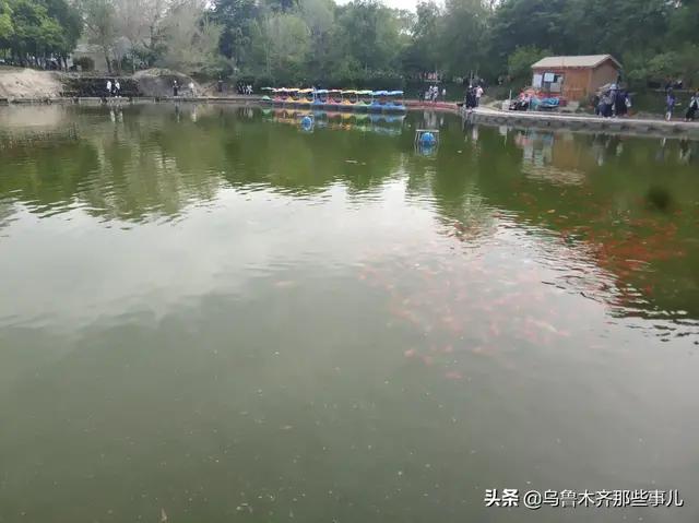 乌鲁木齐人民怎么过的“五一”？时间表来了，他们每天是这样过！