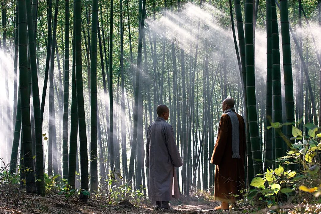 抗肺炎疫情我们在行动,抗击疫情路上我们在行动