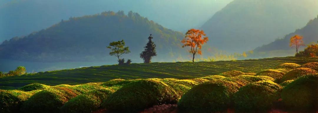 秋天的杭州自驾游,杭州秋冬自驾