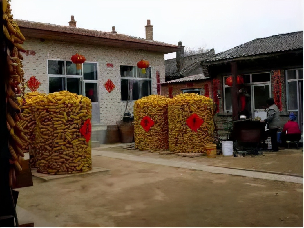 以党建为引领深化美丽庭院创建,以美丽乡村建设助力乡村振兴