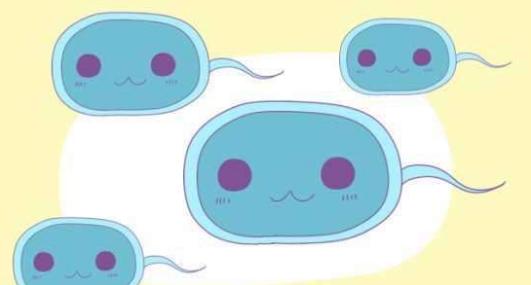 男性结扎了精子去哪里,男性结扎后每年都需要检验精子吗