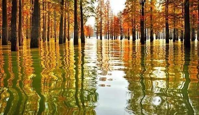 夏天重庆江边露营地点推荐,夏天西安周边适合露营的地方