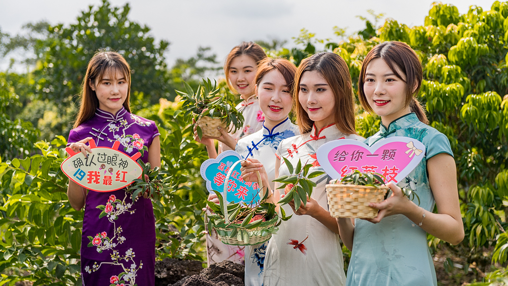 海口附近的荔枝采摘园有地过夜吗,海口周边采摘荔枝一日游最佳地点