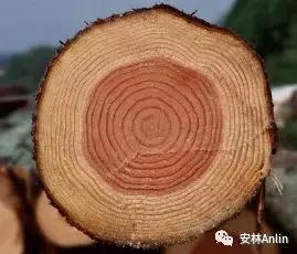 问道学堂课程,问道学堂