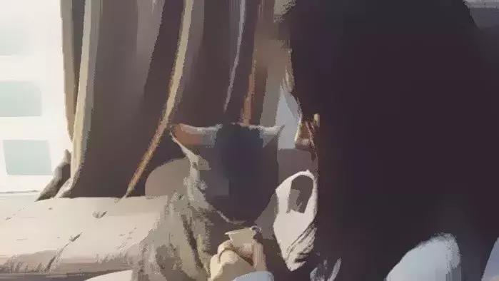 解锁男友苹果手机密码,解锁男友的手机知乎