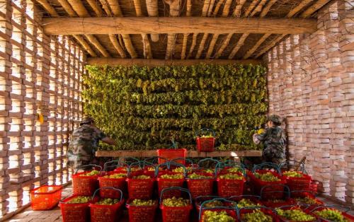 葡萄干吃的时候要怎么洗,葡萄干吃的时候怎么洗比较干净