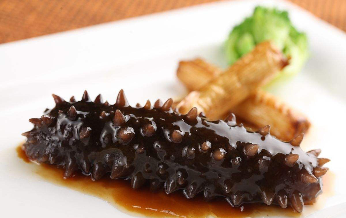 海参即食海参怎样做才好吃,海参最好的吃法怎么吃海参