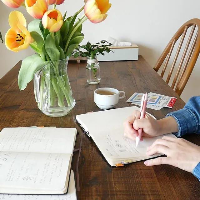 日本丁克主妇的一日三餐,日本丁克主妇的真实生活