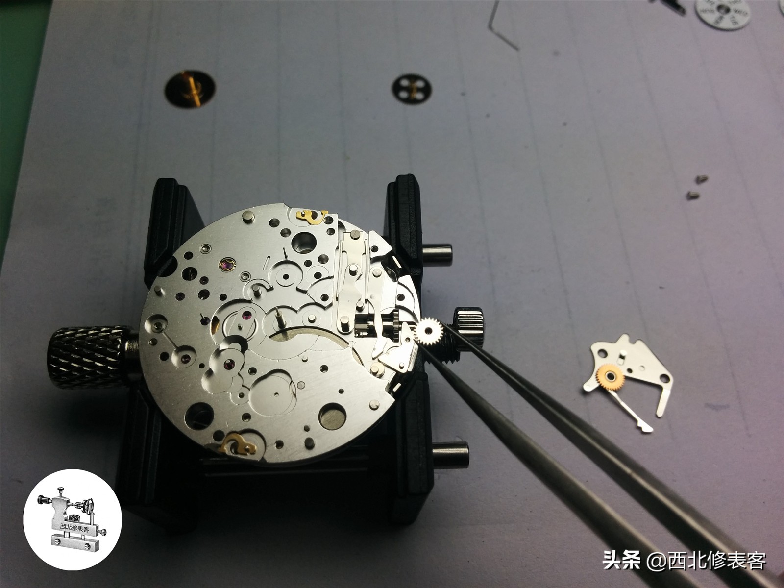 一只浪琴表可以戴多少年,浪琴月相7针计时码表