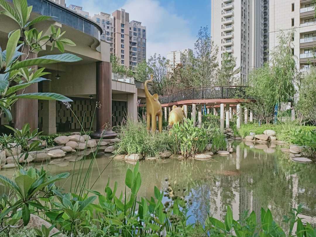 忆当初青春年少,再忆年少时已不再年少