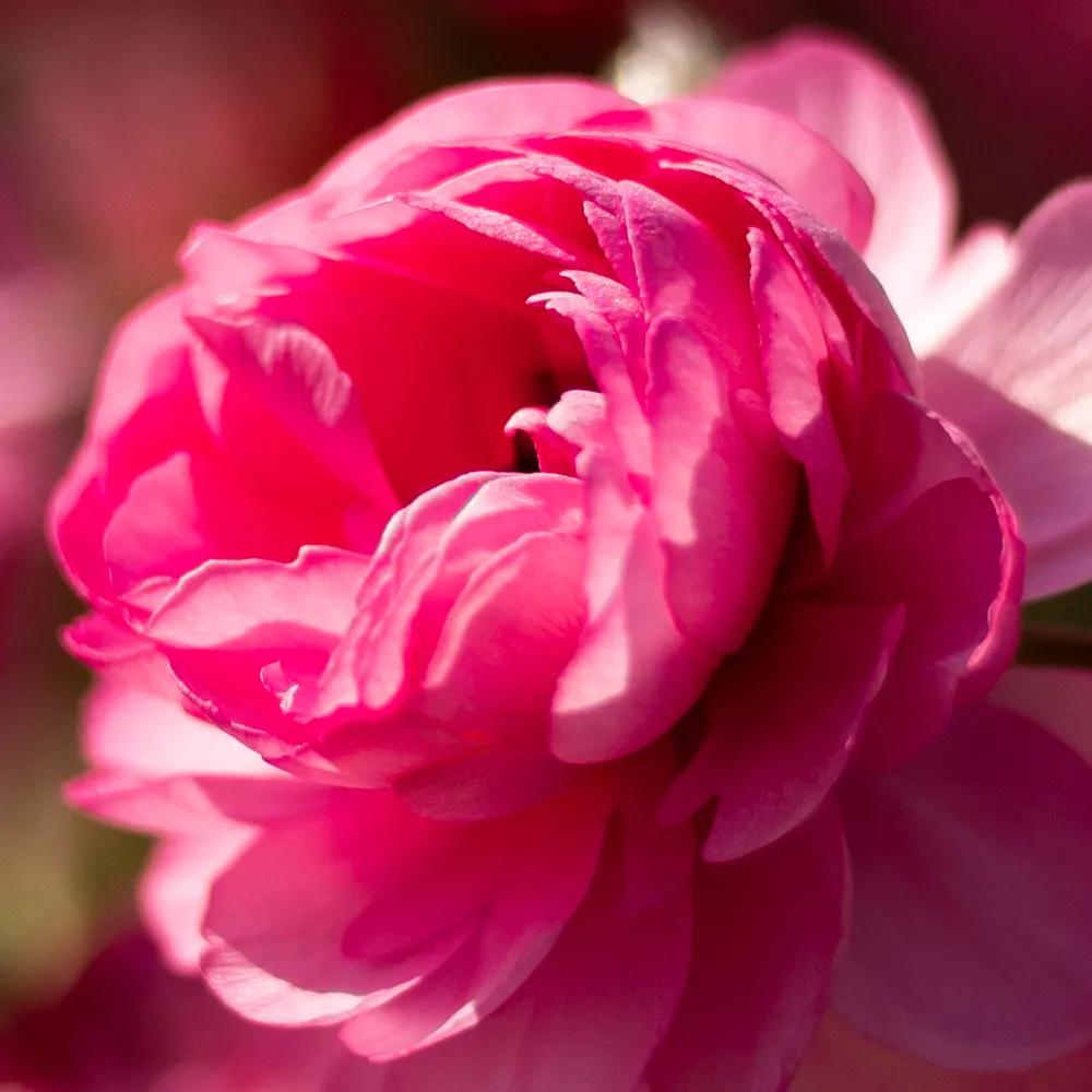 鑰佽洐24mmf14,鑰佽洐45mmf0.95闀滃ご璇勬祴