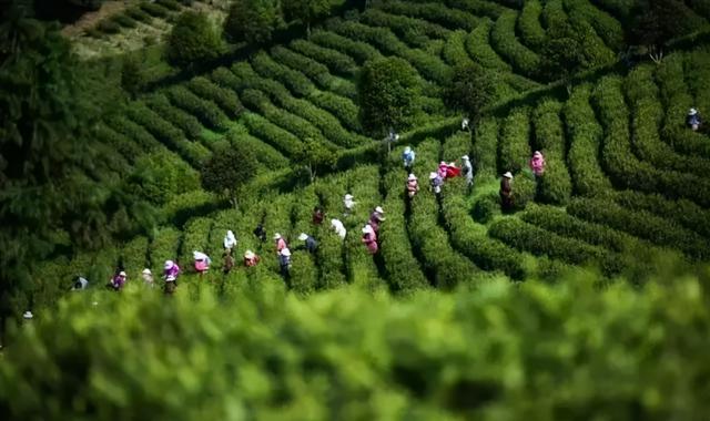 溧阳市枫香小筑民宿,溧阳天目湖最好的民宿