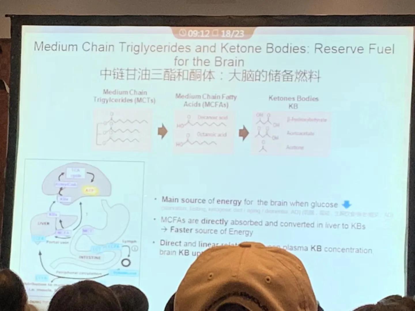量化椰子油，在保持心血管健康和预防阿尔兹海默症之间找到平衡点